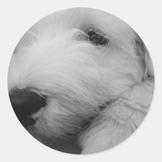 Oud Engels Sheepdog Ronde Sticker (Voorkant)