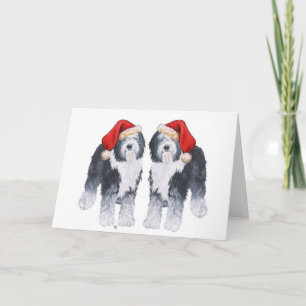 Oud Engels Sheepdog Santa Hat Feestdagen Kaart