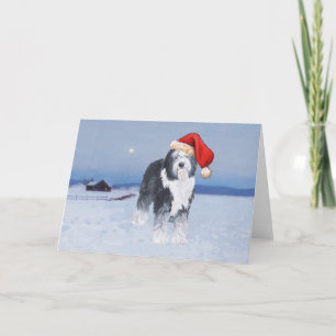 Oud Engels Sheepdog Santa Hat Feestdagen Kaart