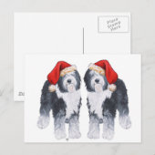Oud Engels Sheepdog Santa Hat Feestdagenkaart (Voorkant / Achterkant)