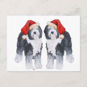 Oud Engels Sheepdog Santa Hat Feestdagenkaart