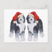 Oud Engels Sheepdog Santa Hat Feestdagenkaart (Voorkant)