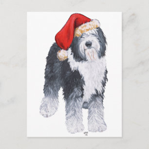 Oud Engels Sheepdog Santa Hat Feestdagenkaart