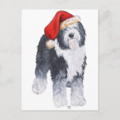 Oud Engels Sheepdog Santa Hat Feestdagenkaart (Voorkant)
