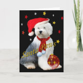 Oud Engels Sheepdog Santa Paws Feestdagen Kaart (Voorkant)