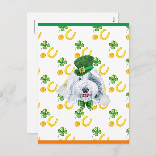 Oud Engels Sheepdog Shamrock St. Patricks Day Feestdagenkaart (Voorkant / Achterkant)