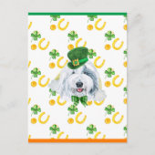 Oud Engels Sheepdog Shamrock St. Patricks Day Feestdagenkaart (Voorkant)
