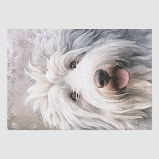 Oud Engels Sheepdog Tissuepapier (Voorkant)