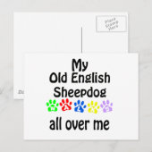 Oud Engels Sheepdog wandelingen ontwerp Briefkaart (Voorkant / Achterkant)