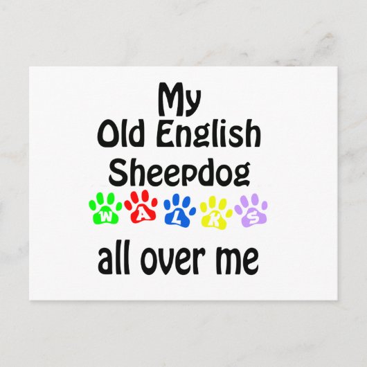 Oud Engels Sheepdog wandelingen ontwerp Briefkaart (Voorkant)