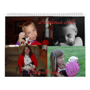 Oud Engels Sheepdogs Kalender