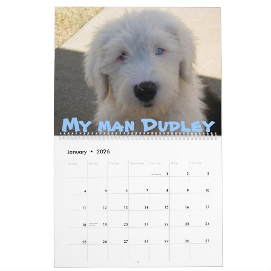 Oud Engels Sheepdogs Kalender (Jan 2026)