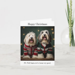 Oud Engels Sheepdogs Kerst Kaart