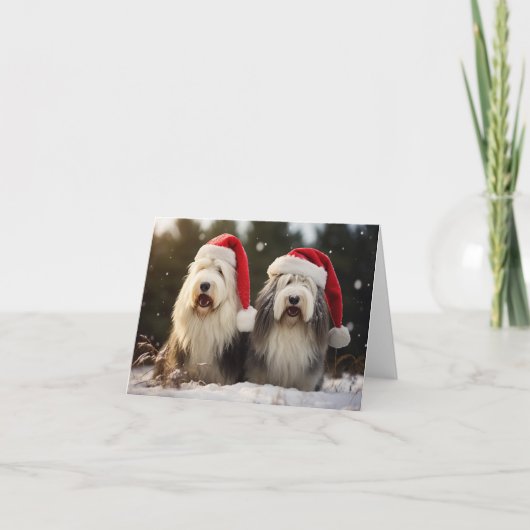 Oud Engels Sheepdogs Kerst Kaart (Voorkant)