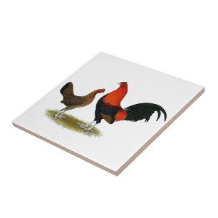 Oud Engels Spel Bantams: Het Rode Paar van BB Tegeltje