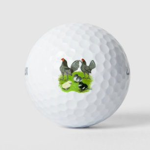 Oud Engelse Blauwe Game Familie Golfballen