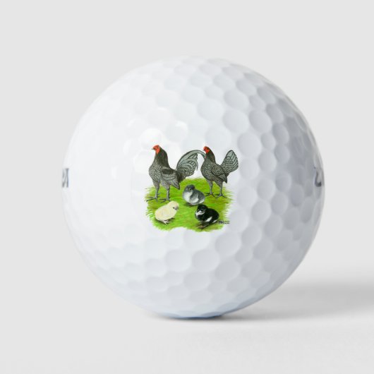 Oud Engelse Blauwe Game Familie Golfballen (Voorkant)