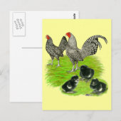 Oud-Engelse Gestreepte Kriel Familie Briefkaart (Voorkant / Achterkant)