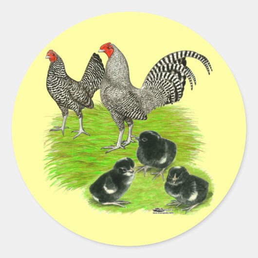 Oud-Engelse Gestreepte Kriel Familie Ronde Sticker (Voorkant)