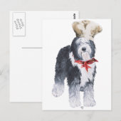 Oud-Engelse Herdershond Chef van Liefde Briefkaart (Voorkant / Achterkant)