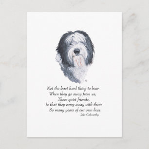 Oud-Engelse-herdershond Rainbow Bridge Briefkaart