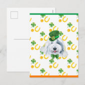 Oud-Engelse Schaapshond Shamrock St. Patrick's Day Feestdagenkaart (Voorkant / Achterkant)