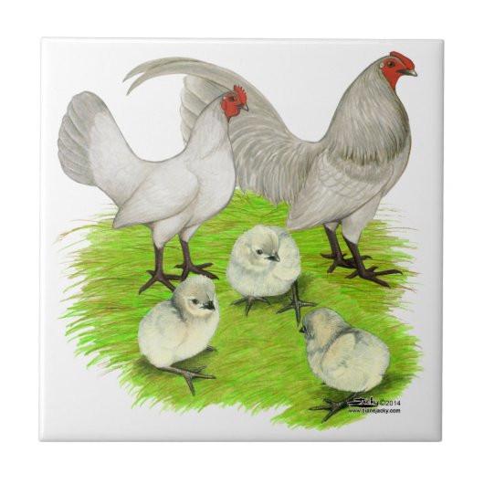 Oud Engelse Self Blue Bantam Familie Tegeltje (Voorkant)