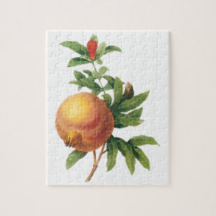 Oud eten Fruit, Granaatappel door Redoute Legpuzzel