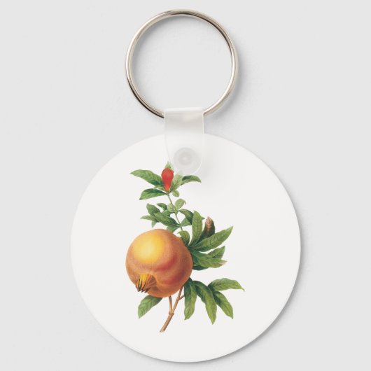 Oud eten Fruit, Granaatappel door Redoute Sleutelhanger (Voorkant)