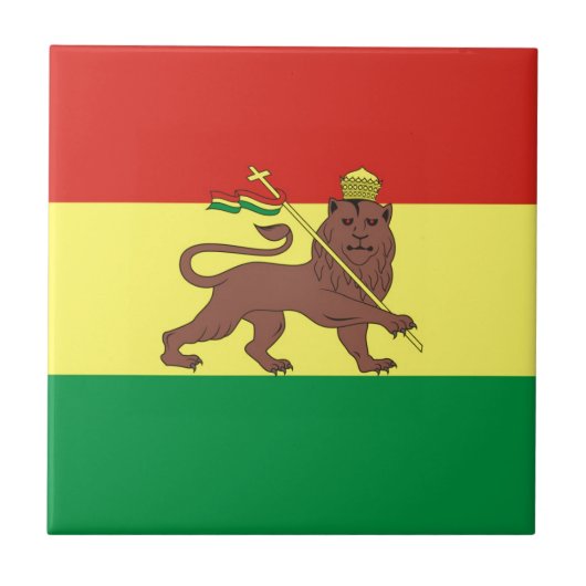 Oud-Ethiopische vlag bij Lion Judah Tegeltje (Voorkant)