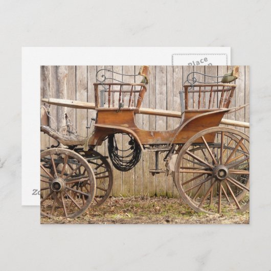 Oud Fancy paard Coach Buggy Briefkaart (Voorkant / Achterkant)