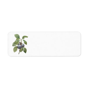 Oud fruit, paarse tuinpruimen door Redoute Etiket