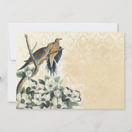 OUD GELD, TORTELDUIFJES, KAART (Achterkant)