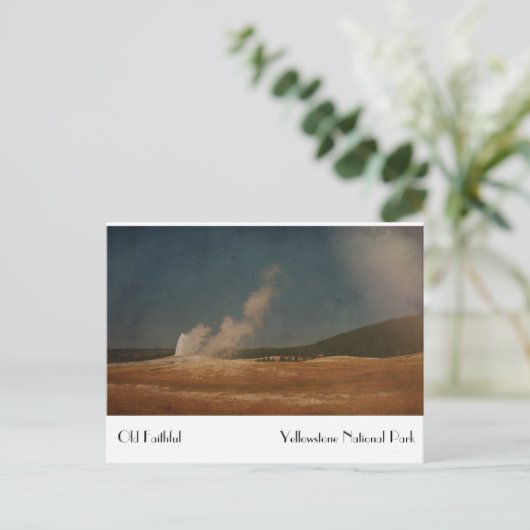 Oud getrouw  Briefkaart (Staand voorkant)