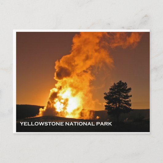 Oud getrouw zonsonderstel briefkaart (Voorkant)