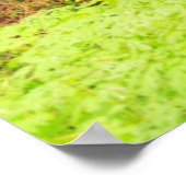 oud groeibos aan de grove van de Patriarchen Poster (Hoek)