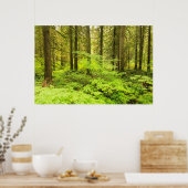 oud groeibos aan de grove van de Patriarchen Poster (Keuken)