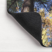 Oud Groeibos Muismat (Hoek)