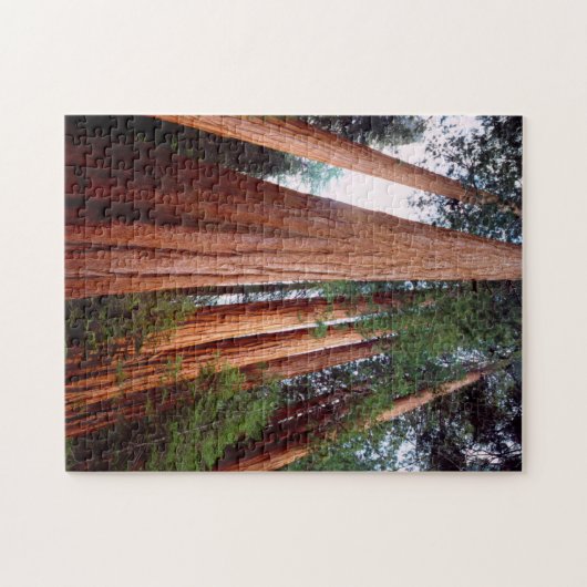 Oud-groeislijm Sequoia Redwood-bomen Legpuzzel (Horizontaal)
