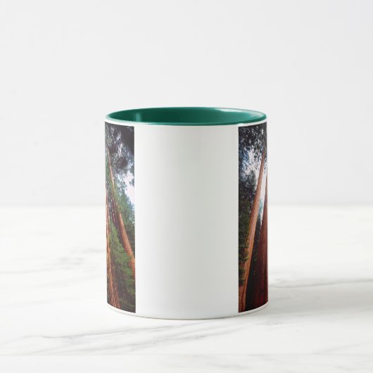 Oud-groeislijm Sequoia Redwood-bomen Mok (Midden)