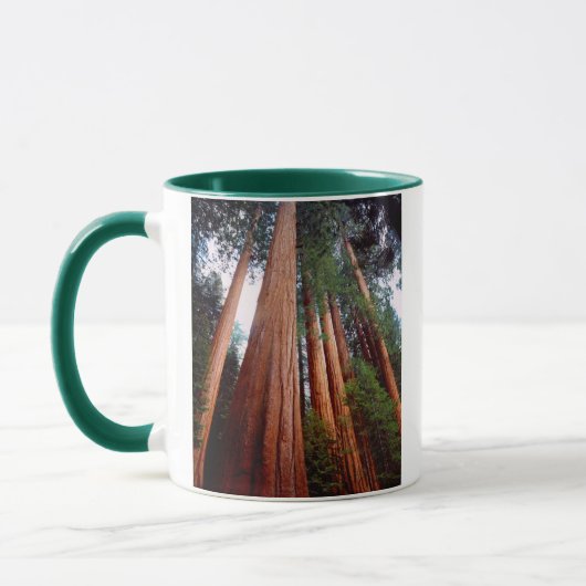 Oud-groeislijm Sequoia Redwood-bomen Mok (Links)