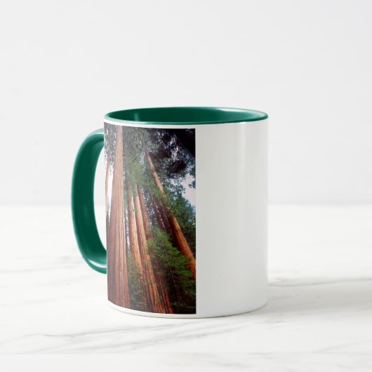 Oud-groeislijm Sequoia Redwood-bomen Mok (Voorkant links)