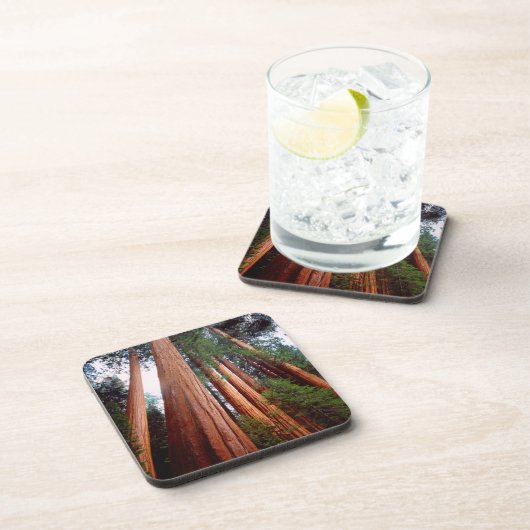 Oud-groeislijm Sequoia Redwood-bomen Onderzetter (Rechterzijde)