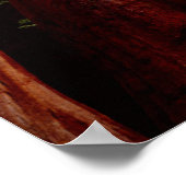 Oud-groeislijm Sequoia Redwood-bomen Poster (Hoek)