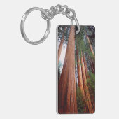 Oud-groeislijm Sequoia Redwood-bomen Sleutelhanger (Voorkant Links)