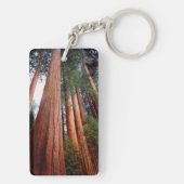 Oud-groeislijm Sequoia Redwood-bomen Sleutelhanger (achterkant)