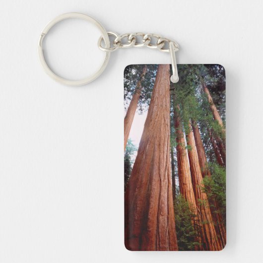 Oud-groeislijm Sequoia Redwood-bomen Sleutelhanger (Voorkant)