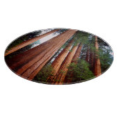 Oud-groeislijm Sequoia Redwood-bomen Snijplank (Hoek)