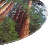 Oud-groeislijm Sequoia Redwood-bomen Snijplank (Hoek)