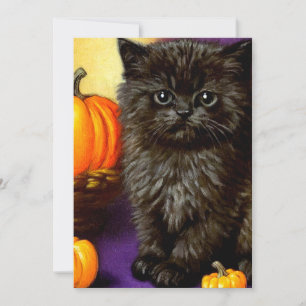 Oud Halloween Kitten Kaart